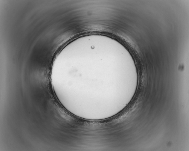 X0000100960873200807081239