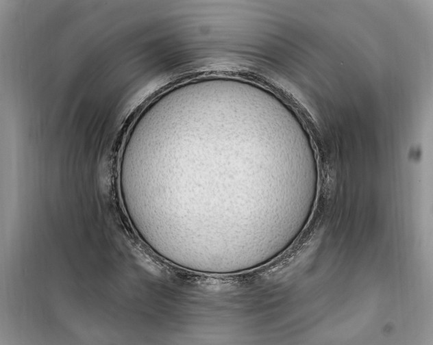 X0000100960874200807081239