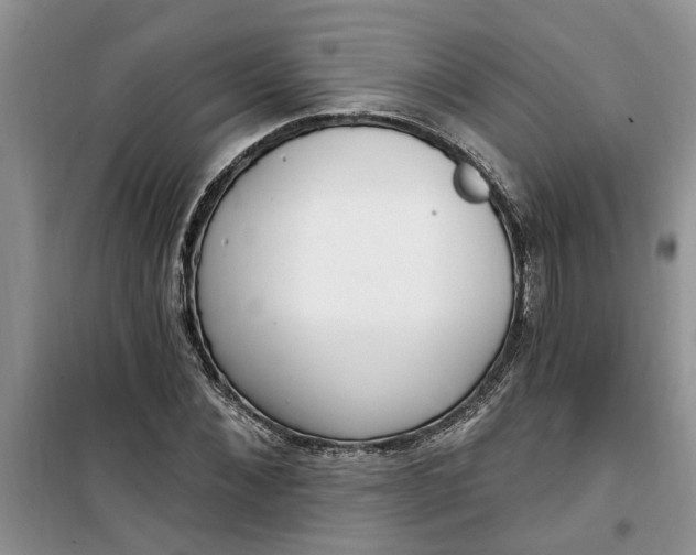X0000100960876200807081239
