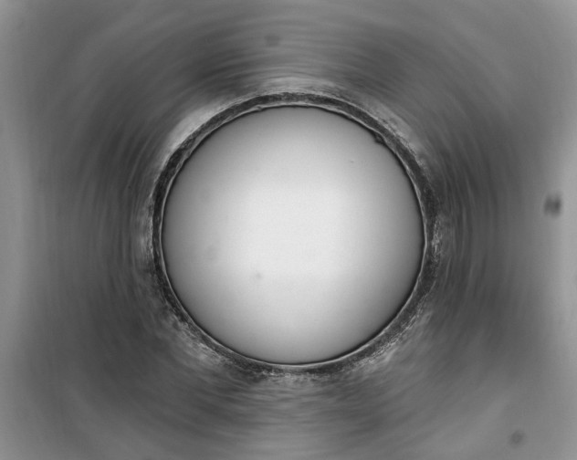 X0000100960877200807081239
