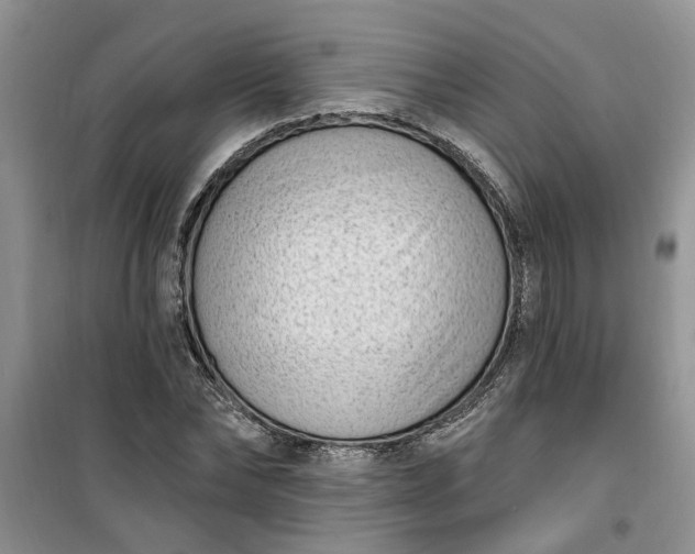 X0000100960878200807081239