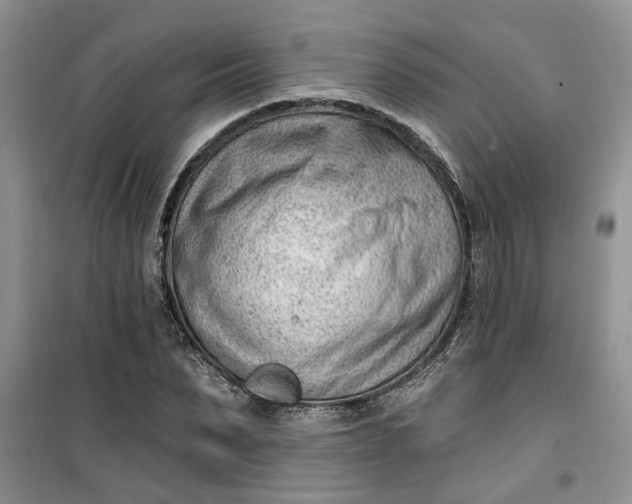 X0000100960879200807081239