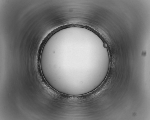 X0000100960880200807081239