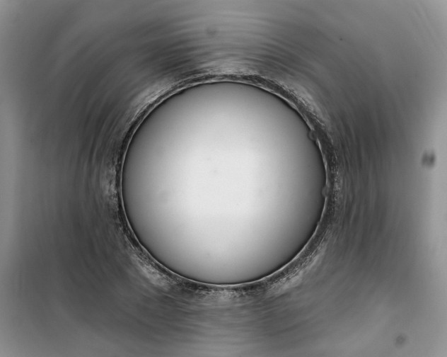 X0000100960881200807081239