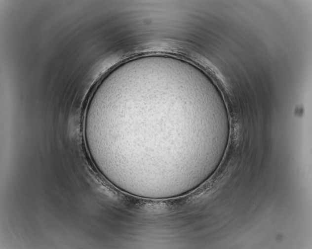 X0000100960882200807081239