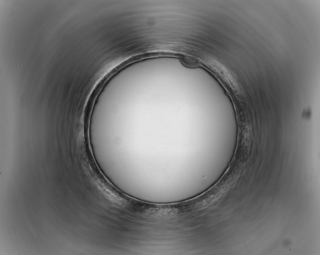 X0000100960884200807081239