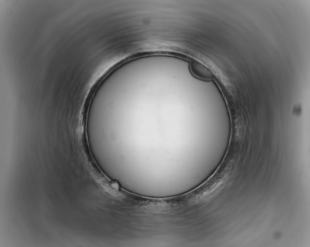 X0000100960885200807081239