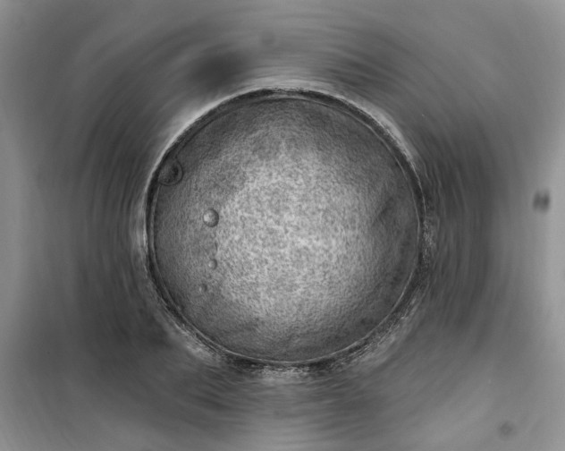 X0000100960887200807081239