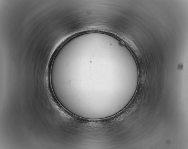 X0000100960888200807081239
