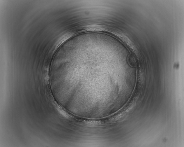 X0000100960889200807081239