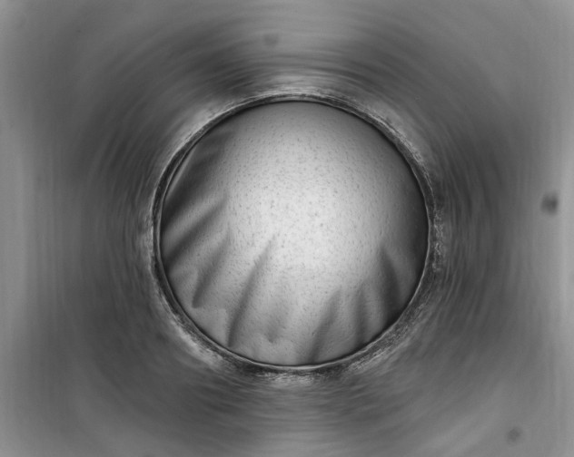 X0000100960890200807081239