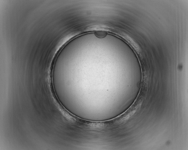 X0000100960893200807081239
