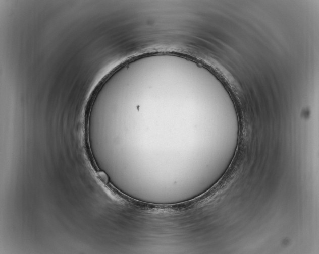 X0000100960894200807081239