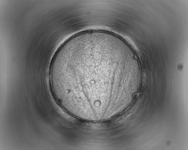 X0000100960895200807081239
