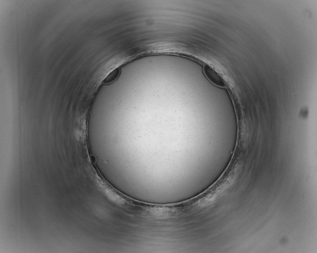 X0000100960897200807081239