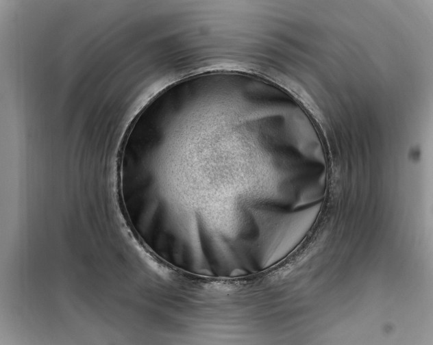 X0000100960898200807081239