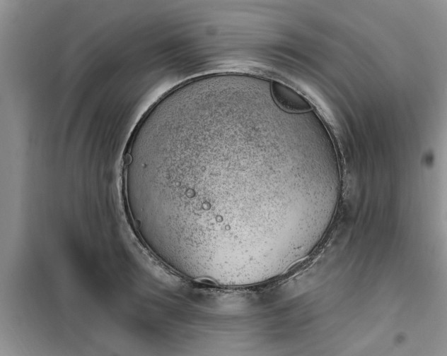 X0000100960899200807081239