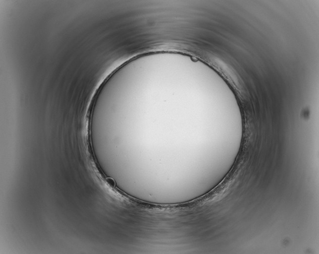 X0000100960900200807081239