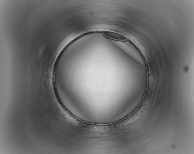 X0000100960901200807081239