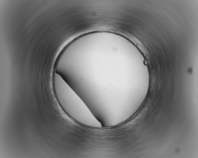 X0000100960904200807081239