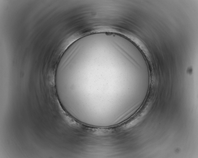 X0000100960905200807081239