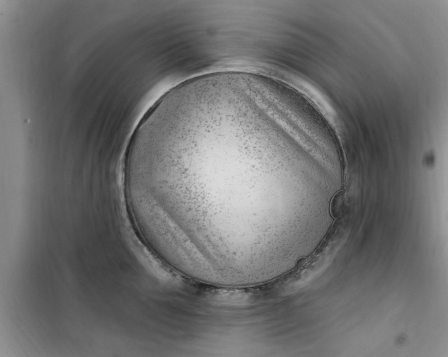 X0000100960907200807081239