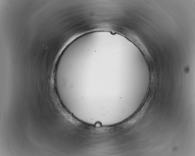 X0000100960908200807081239