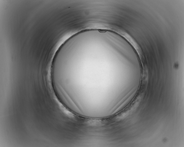 X0000100960909200807081239