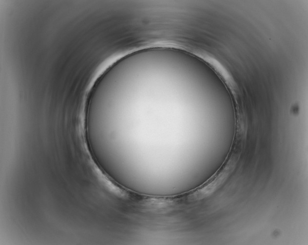 X0000100960910200807081239