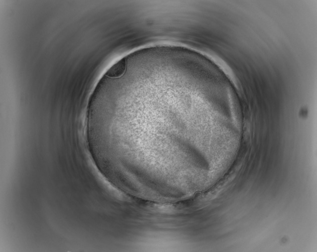 X0000100960911200807081239
