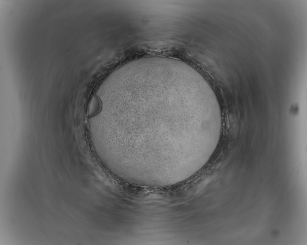 X0000100960913200807081238