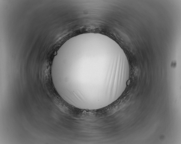 X0000100960914200807081238