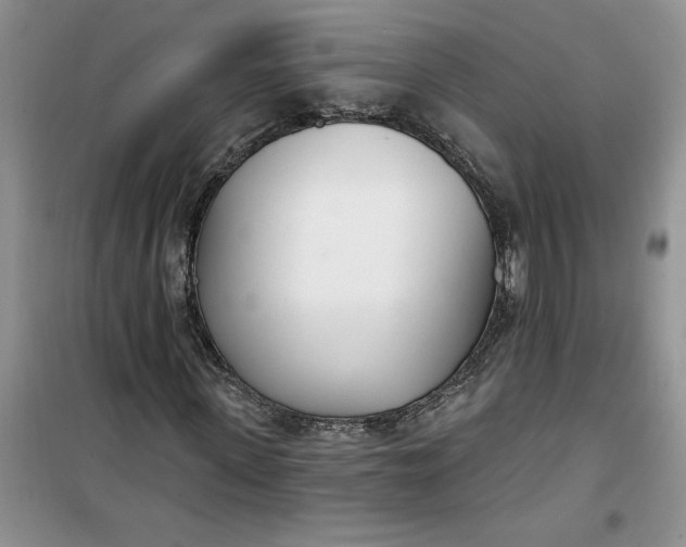X0000100960915200807081238
