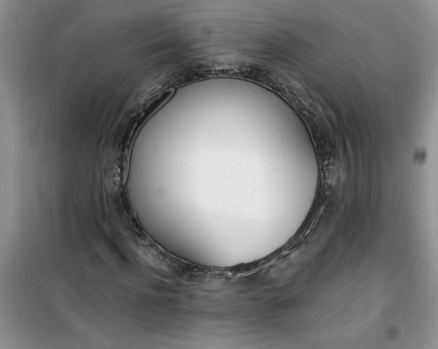 X0000100960916200807081238