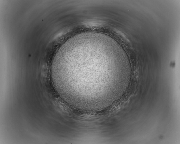 X0000100960917200807081238