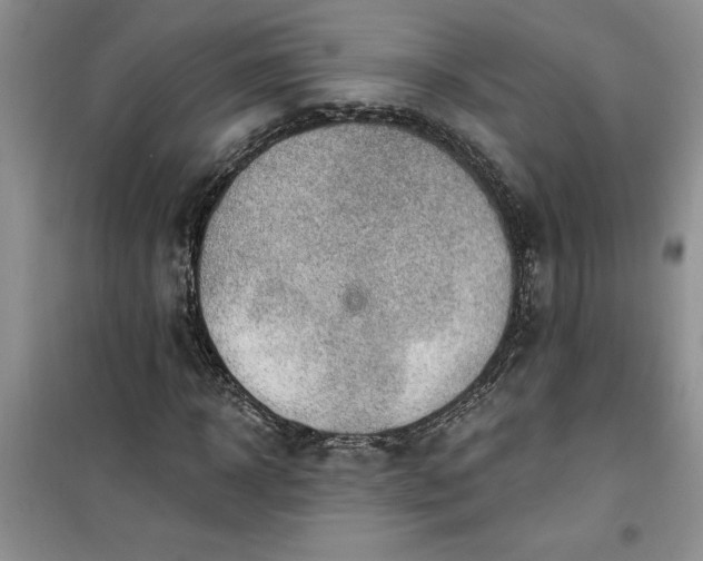 X0000100960918200807081238