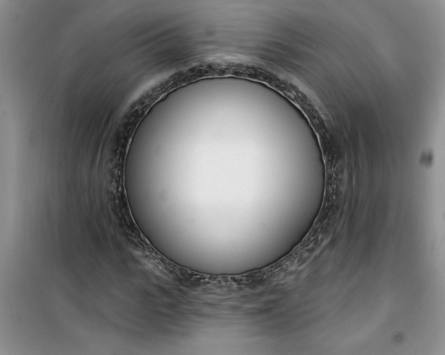 X0000100960919200807081238