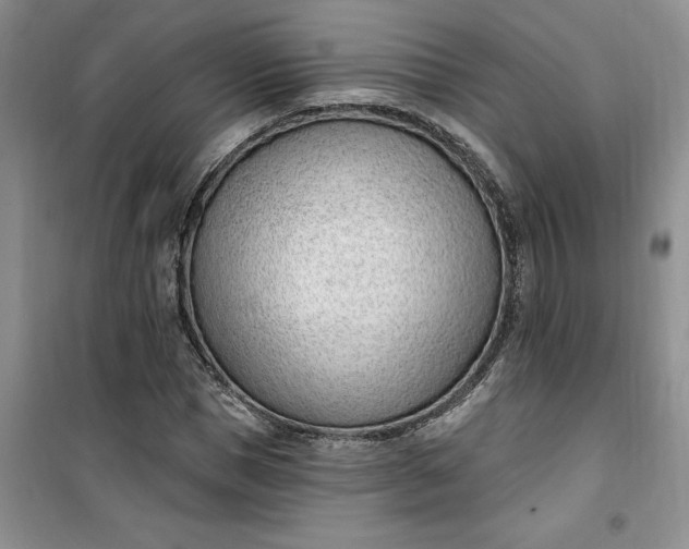 X0000100960921200807081238