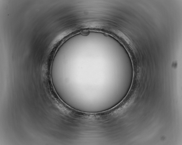 X0000100960922200807081238