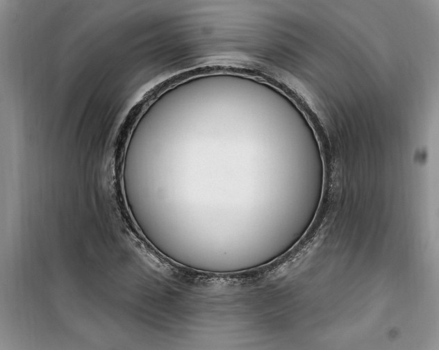 X0000100960923200807081238