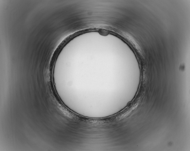 X0000100960924200807081238