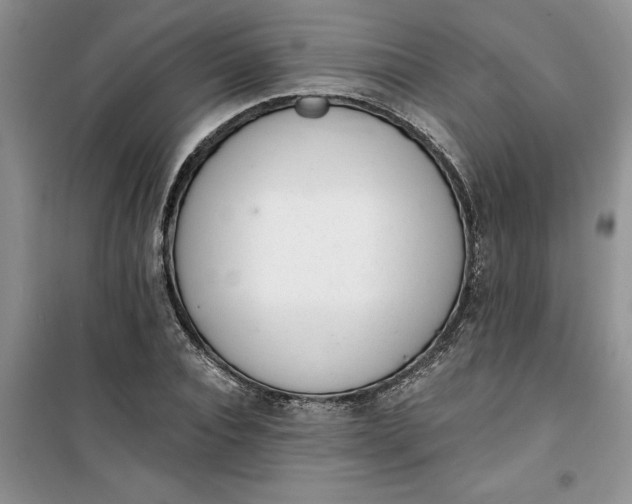 X0000100960928200807081238