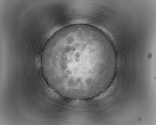 X0000100960929200807081238