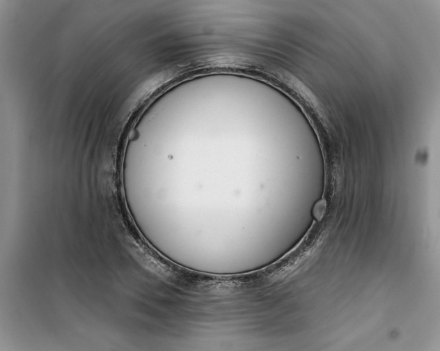 X0000100960930200807081238