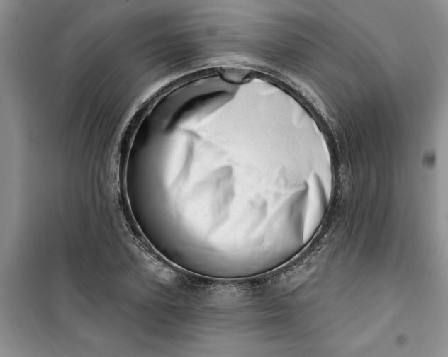 X0000100960931200807081238