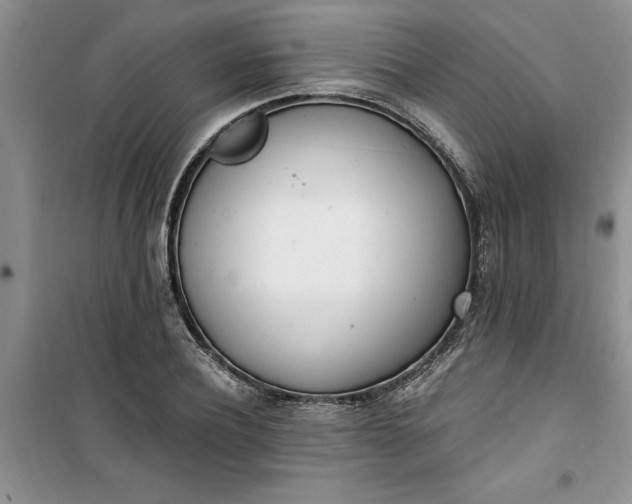 X0000100960932200807081238