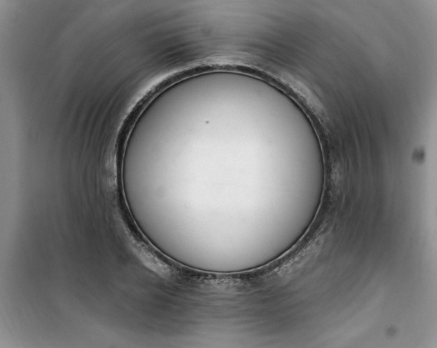 X0000100960934200807081238