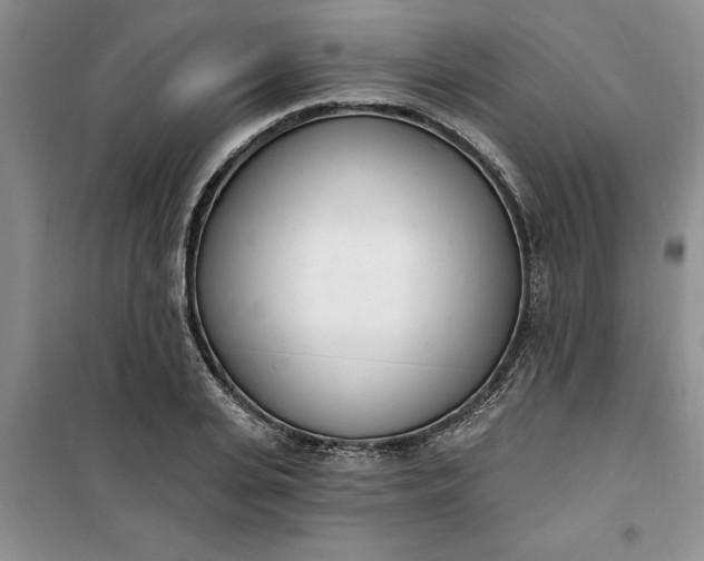 X0000100960935200807081238