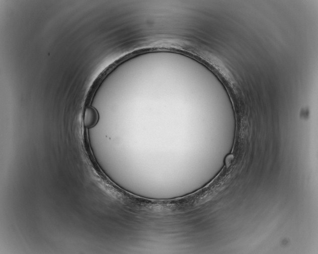 X0000100960936200807081238