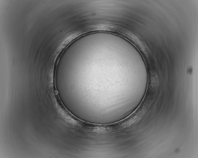 X0000100960938200807081238